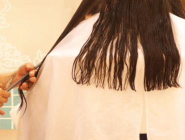 ワイエス・パリカット